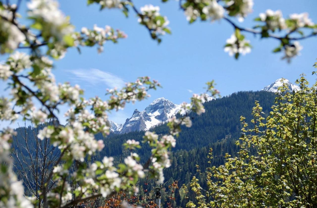 Landhaus Bergner Alm Фуш-ан-дер-Гросглокнерштрассе Экстерьер фото
